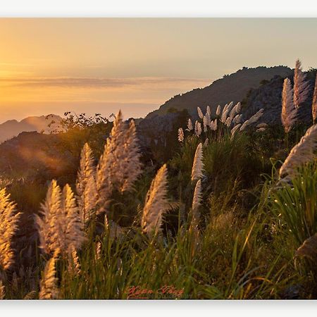 Cat Ba Island Garden Homestay - Papillon Bagian luar foto