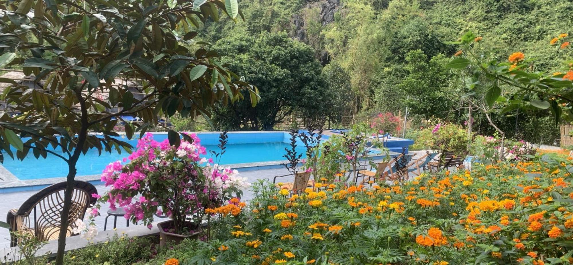 Cat Ba Island Garden Homestay - Papillon Bagian luar foto