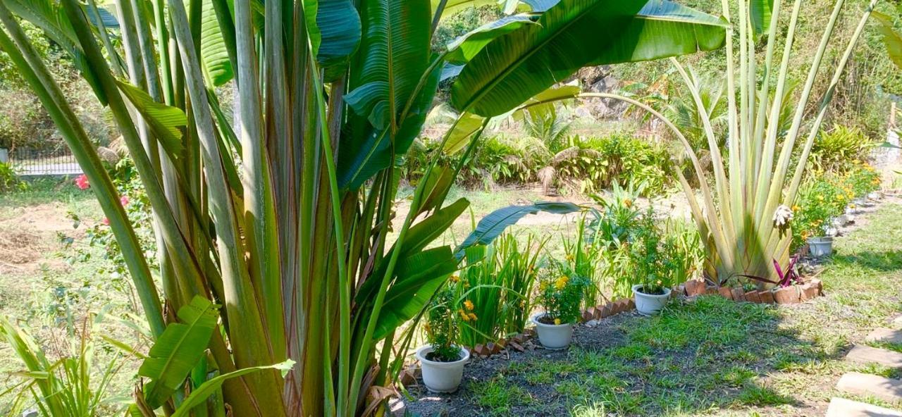 Cat Ba Island Garden Homestay - Papillon Bagian luar foto