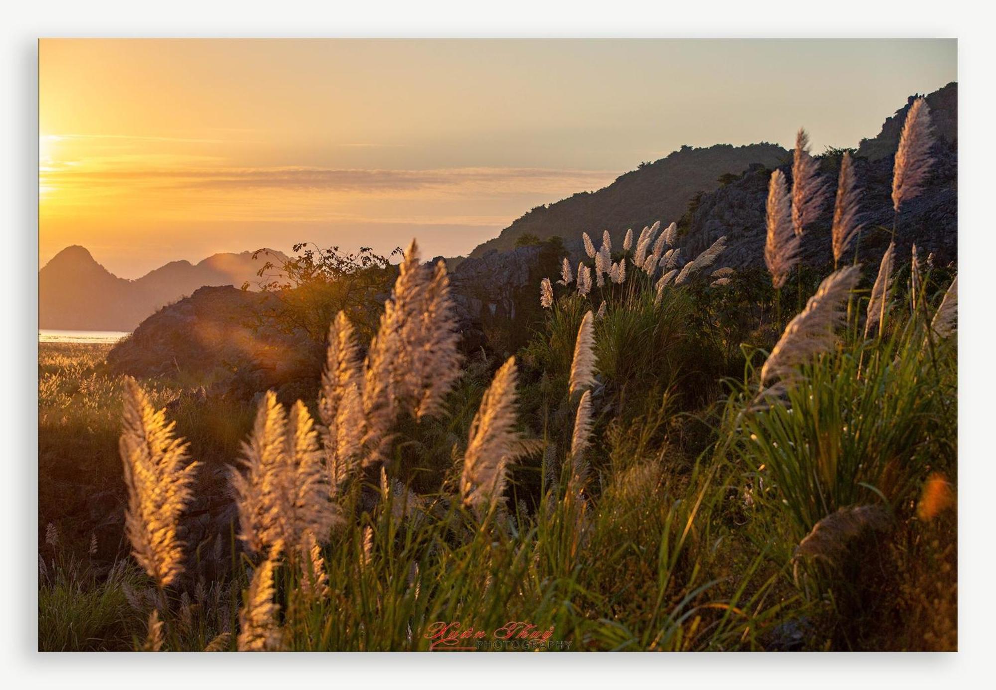Cat Ba Island Garden Homestay - Papillon Bagian luar foto