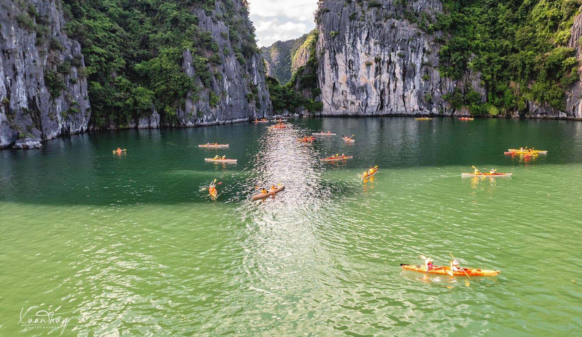 Cat Ba Island Garden Homestay - Papillon Bagian luar foto